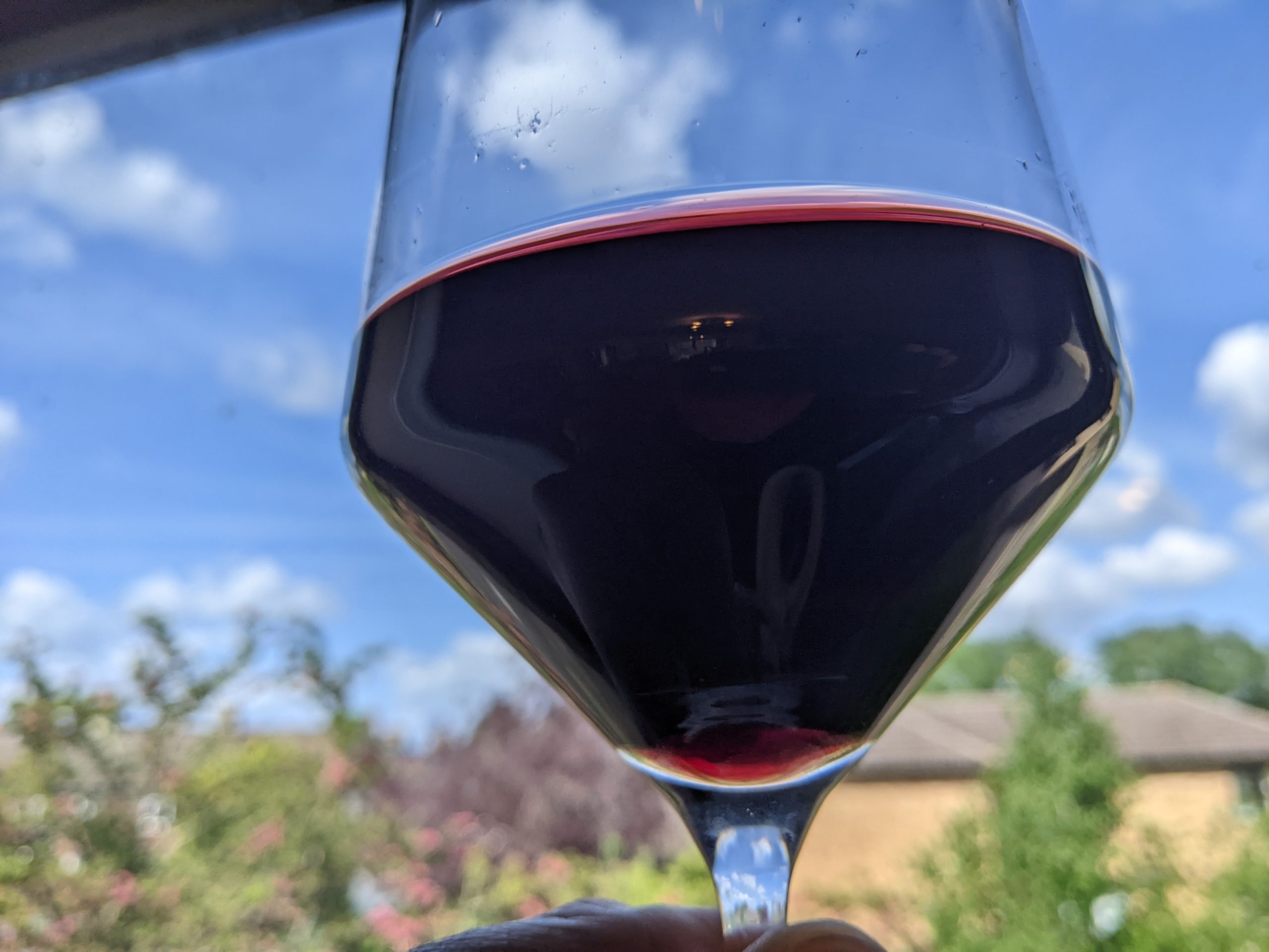 Glass of Delas Rhone 2020